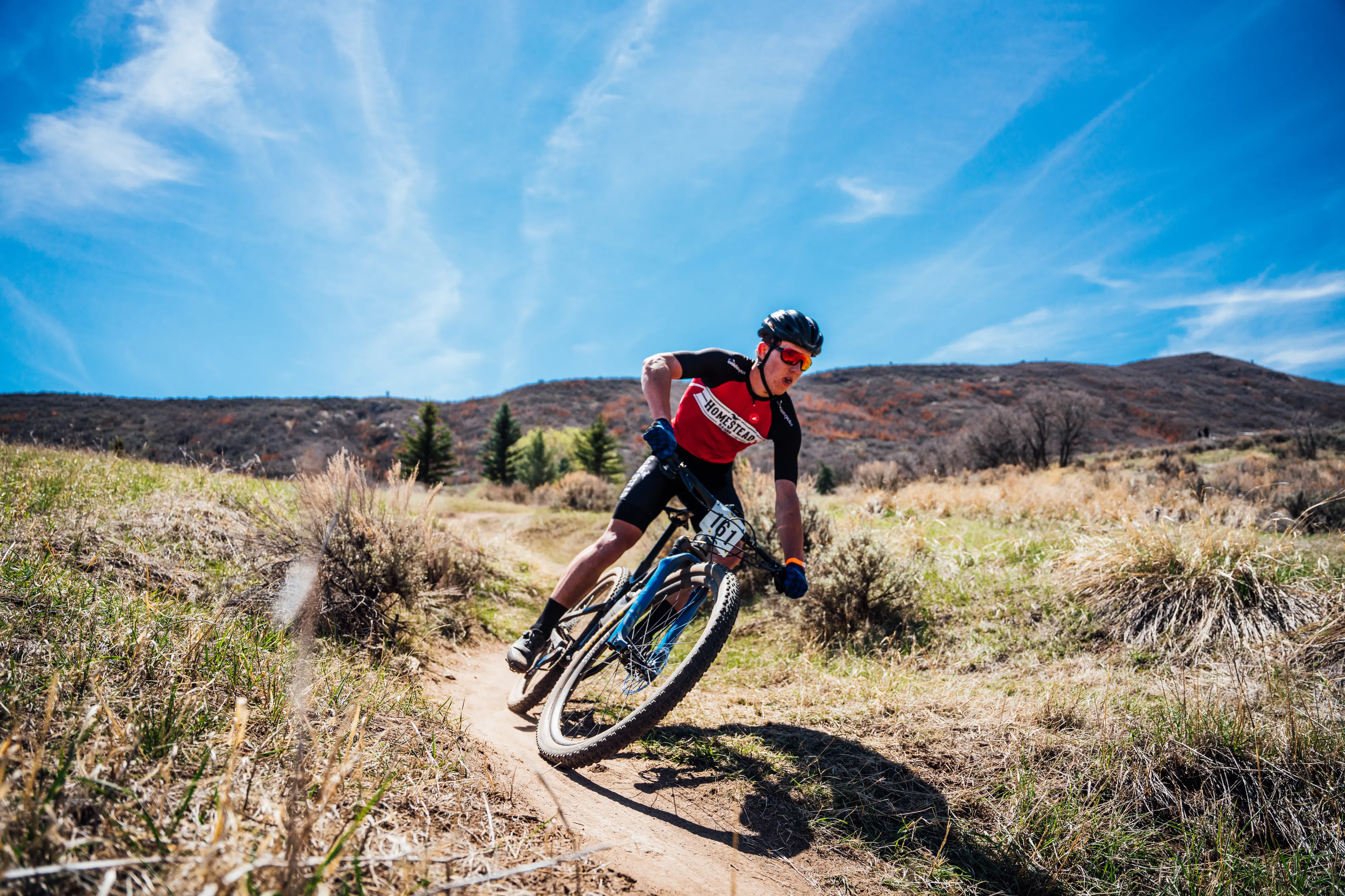 Rider in the trees at dusk